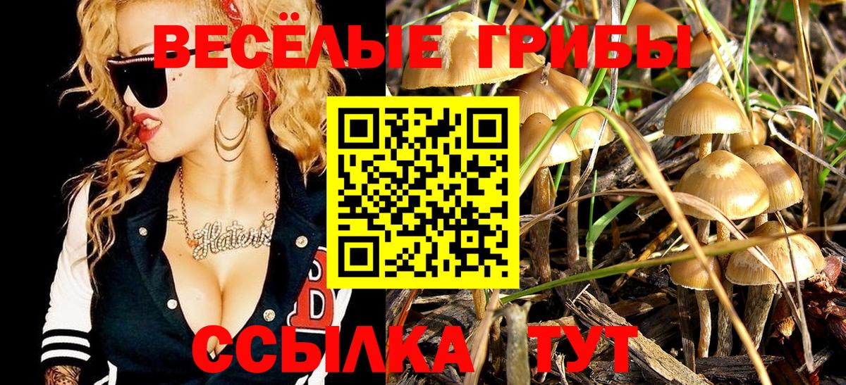 Псилоцибиновые грибы мицелий Шадринск