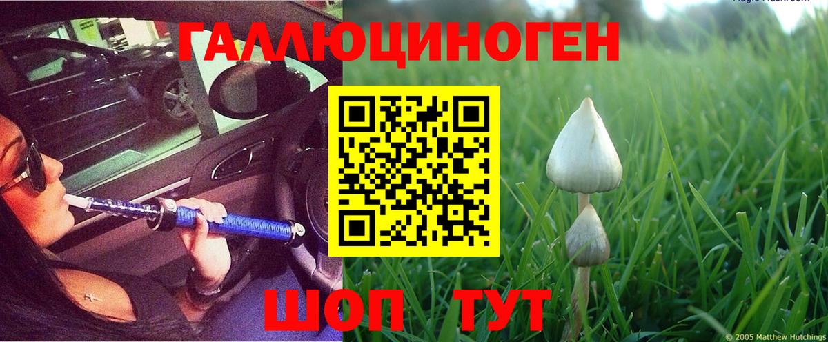 Галлюциногенные грибы Psilocybine cubensis  цены   Шадринск  Галлюциногенные грибы ЛСД  Вход с VPN 