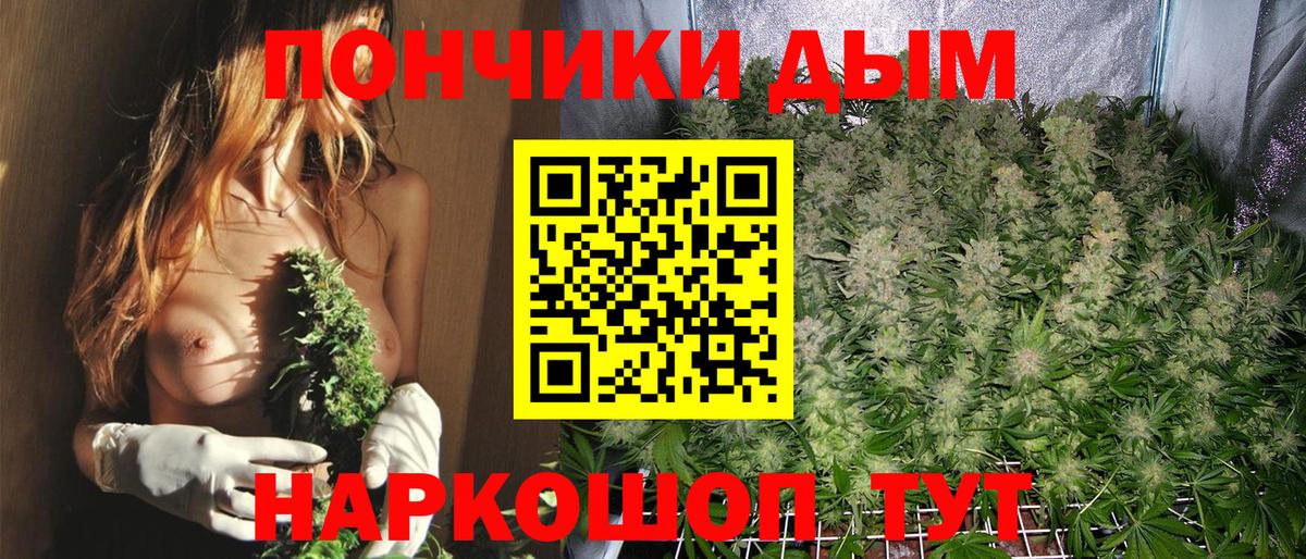 Каннабис гибрид  Вход с VPN  Конопля SATIVA & INDICA  Шадринск  МАРИХУАНА Ganja  Конопля LSD WEED 